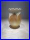 BEAUTIFUL QUEZAL, Antique Art Glass Lamp Shades