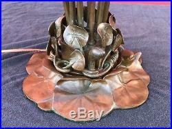 Buffalo Metal Works Bronze Tiffany Style Pond Lily Lamp 12 Art Glass Shades