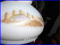 Fenton Lamp in box burmese by the sea & fence New