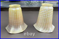 Similar Pair Of Decorated Antique Art Glass Lamp Shades