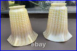 Similar Pair Of Decorated Antique Art Glass Lamp Shades