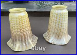 Similar Pair Of Decorated Antique Art Glass Lamp Shades