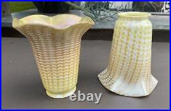 Similar Pair Of Decorated Antique Art Glass Lamp Shades